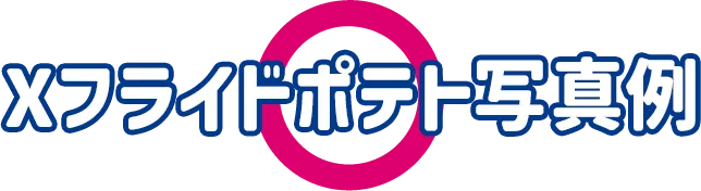 Xフライドポテト写真例