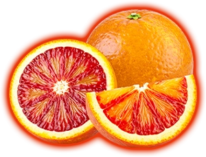 ブラッドオレンジの画像