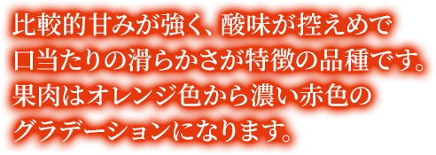 比較的甘みが強く、酸味が控えめで口当たりの滑らかさが特徴の品種です。果肉はオレンジ色から濃い赤色のグラデーションになります。