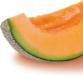 赤肉メロンの画像