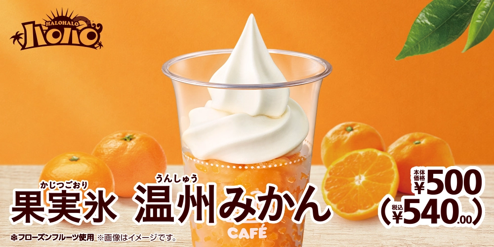 果実氷温州みかん 本体価格500円 税込540.00円