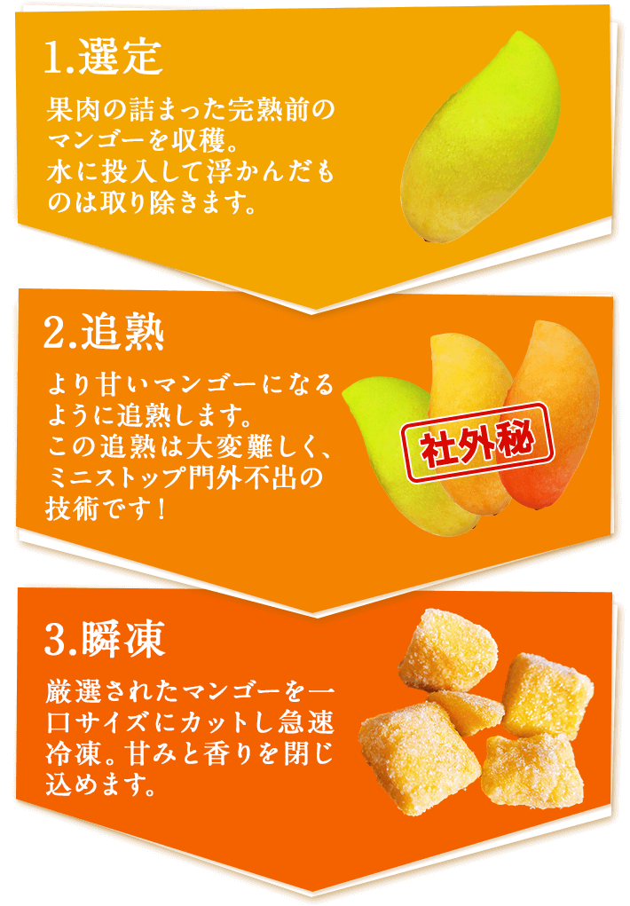 1.選定 果肉の詰まった完熟前のマンゴーを収穫。水に投入して浮かんだものは取り除きます。 2.追熟 より甘いマンゴーになるように追熟します。この追熟は大変難しく、ミニストップ門外不出の技術です！ 3.瞬凍 厳選されたマンゴーを一口サイズにカットし急速冷凍。甘みと香りを閉じ込めます。