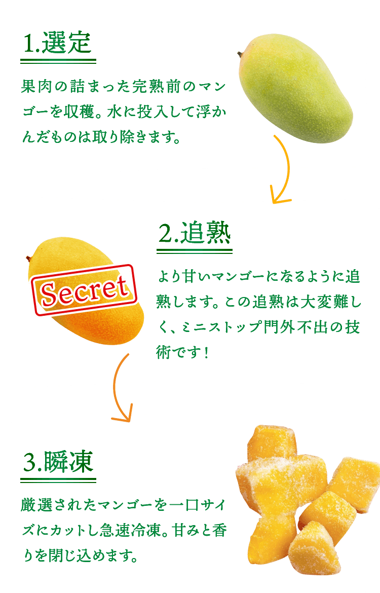 1.選定 果肉の詰まった完熟前のマンゴーを収穫。水に投入して浮かんだものは取り除きます。 2.追熟 より甘いマンゴーになるように追熟します。この追熟は大変難しく、ミニストップ門外不出の技術です！ 3.瞬凍 厳選されたマンゴーを一口サイズにカットし急速冷凍。甘みと香りを閉じ込めます。