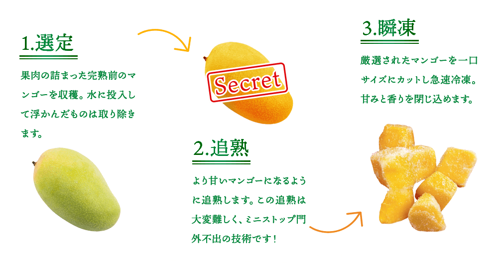 1.選定 果肉の詰まった完熟前のマンゴーを収穫。水に投入して浮かんだものは取り除きます。 2.追熟 より甘いマンゴーになるように追熟します。この追熟は大変難しく、ミニストップ門外不出の技術です！ 3.瞬凍 厳選されたマンゴーを一口サイズにカットし急速冷凍。甘みと香りを閉じ込めます。