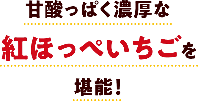 甘酸っぱく濃厚な紅ほっぺいちごを堪能！