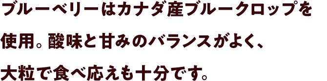 ブルーベリーはカナダ産ブルークロップを使用。酸味と甘みのバランスがよく、大粒で食べ応えも十分です。