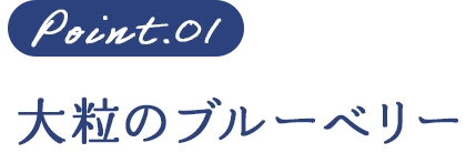 Point.01 大粒のブルーベリー