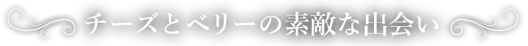 チーズとベリーの素敵な出会い