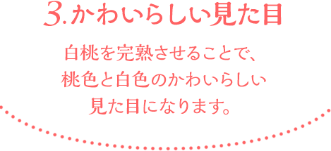 3.かわいらしい見た目　白桃を完熟させることで、桃色と白色のかわいらしい見た目になります。