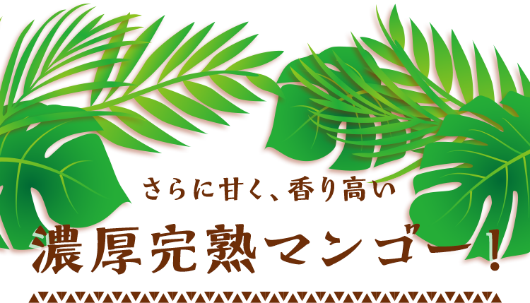 さらに甘く、香り高い　濃厚完熟マンゴー
