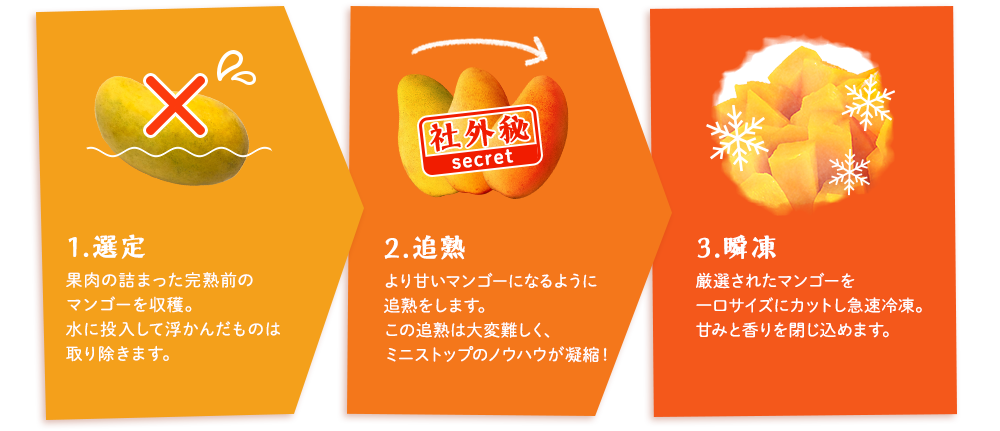 1.選定　果肉の詰まった完熟前のマンゴーを収穫。水に投入して浮かんだものは取り除きます。　2.追熟　より甘いマンゴーになるように追熟をします。この追熟は大変難しく、ミニストップのノウハウが凝縮！　3.瞬凍　厳選されたマンゴーを一口サイズにカットし急速冷凍。甘みと香りを閉じ込めます。