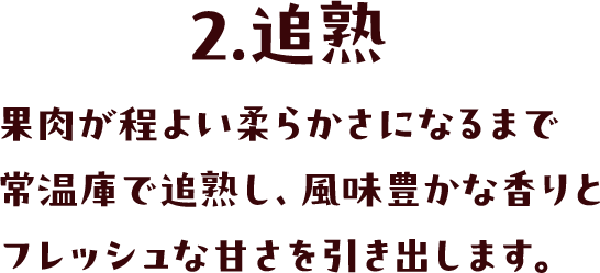 2.追熟 果肉が程よい柔らかさになるまで常温庫で追熟し、風味豊かな香りとフレッシュな甘さを引き出します。