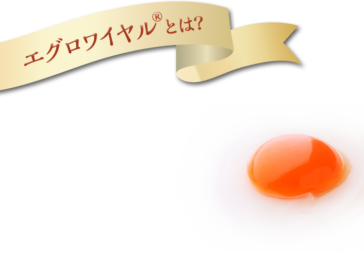 エグロワイヤル®とは? エグロワイヤルは、シェフ･パティシエの声から生まれた素材の風味を引き立てる卵です。卵のコクはありながら、すっきりとした後味が特徴です。※プリンのみに	使用