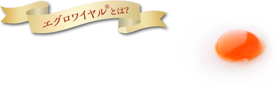 エグロワイヤル®とは? エグロワイヤルは、シェフ･パティシエの声から生まれた素材の風味を引き立てる卵です。卵のコクはありながら、すっきりとした後味が特徴です。※プリンのみに使用