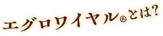 エグロワイヤル®とは？