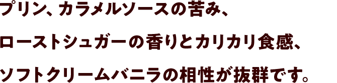 プリン、カラメルソースの苦み、ローストシュガーの香りとカリカリ食感、ソフトクリームバニラの相性が抜群です。