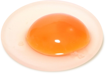 卵の画像