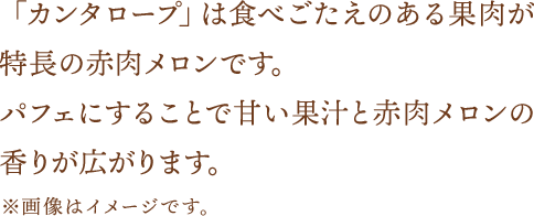 「カンタロープ」は食べごたえのある果肉が特長の赤肉メロンです。パフェにすることで甘い果汁と赤肉メロンの香りが広がります。※画像はイメージです。