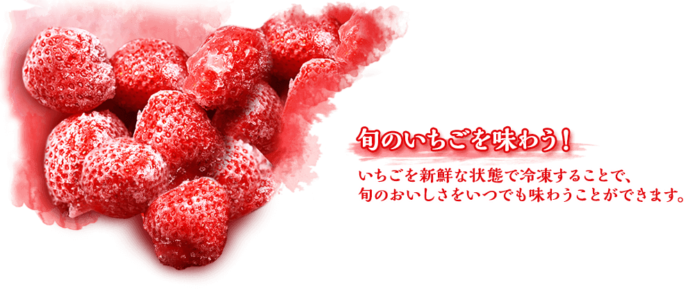 旬のいちごを味わう！いちごを新鮮な状態で冷凍することで、旬のおいしさをいつでも味わうことができます。