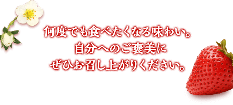 何度でも食べたくなる味わい。自分へのご褒美にぜひお召し上がりください。