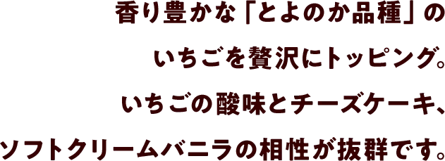 香り豊かな「とよのか品種」のいちごを贅沢にトッピング。いちごの酸味とチーズケーキ、ソフトクリームバニラの相性が抜群です。