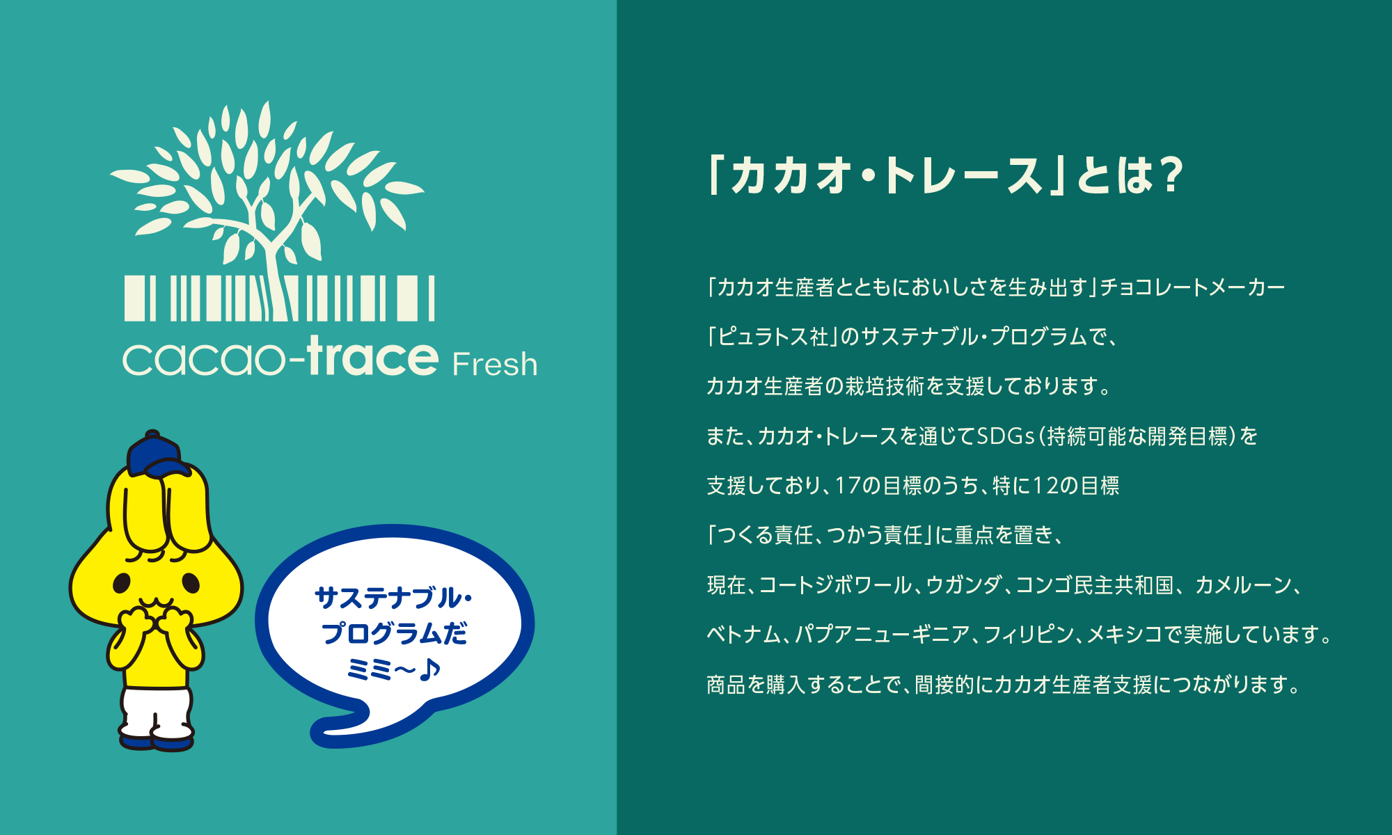 「カカオ・トレース」とは？ 「カカオ生産者とともにおいしさを生み出す」チョコレートメーカー「ピュラトス社」のサステナブル・プログラムで、カカオ生産者の栽培技術を支援しております。また、カカオ・トレースを通じてSDGs（持続可能な開発目標）を支援しており、17の目標のうち、特に12の目標「つくる責任、つかう責任」に重点を置き、現在、コートジボワール、ウガンダ、コンゴ民主共和国、カメルーン、ベトナム、パプアニューギニア、フィリピン、メキシコで実施しています。商品を購入することで、間接的にカカオ生産者支援につながります。