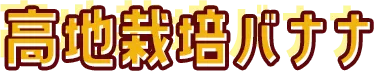 高地栽培バナナ