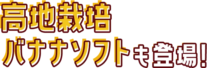 高地栽培バナナソフトも登場！