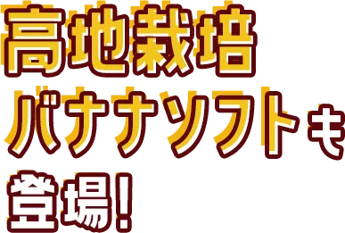 高地栽培バナナソフトも登場！