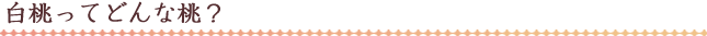 白桃ってどんな桃？