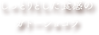 しっとりとした食感のガトーショコラ