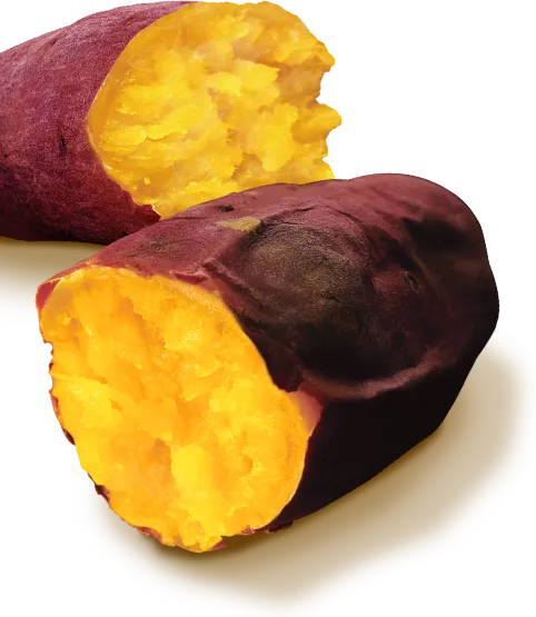 紅はるかの画像