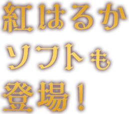 紅はるかソフトも登場！