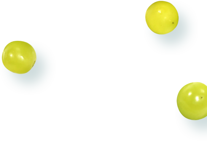 シャインマスカットの画像