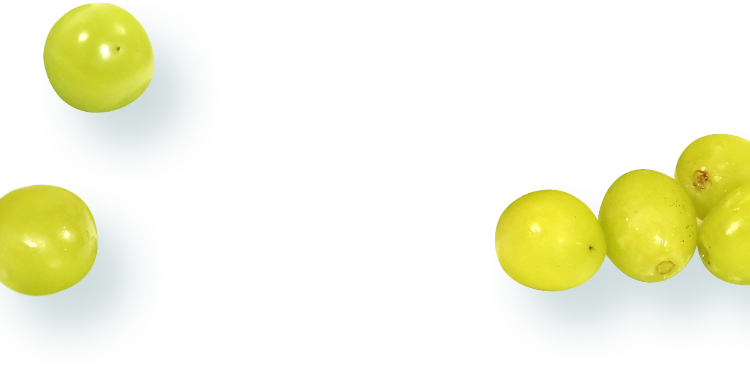 シャインマスカットの画像