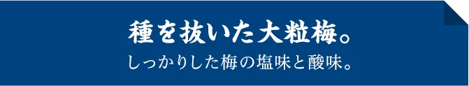 種を抜いた大粒梅。しっかりした梅の塩味と酸味。