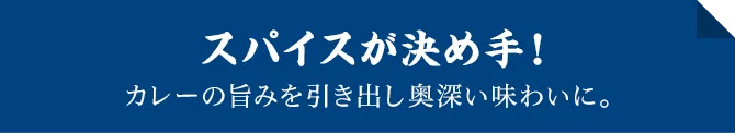 スパイスが決め手！カレーの旨みを引き出し奥深い味わいに。