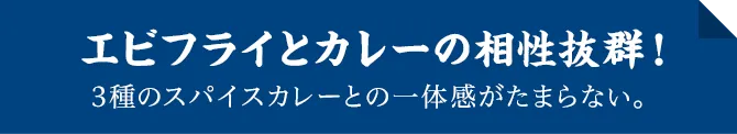 エビフライとカレーの相性抜群！3種のスパイスカレーとの一体感がたまらない。